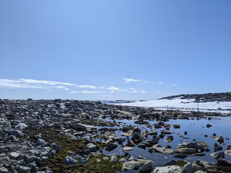 Nieuw afstandsmeetingssysteem brengt unieke vegetatie van Antarctica in detail in kaart