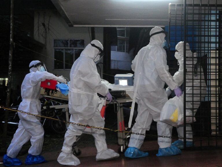 Nipah-virus: Wat is het en verspreidt het zich in Zuid-India?