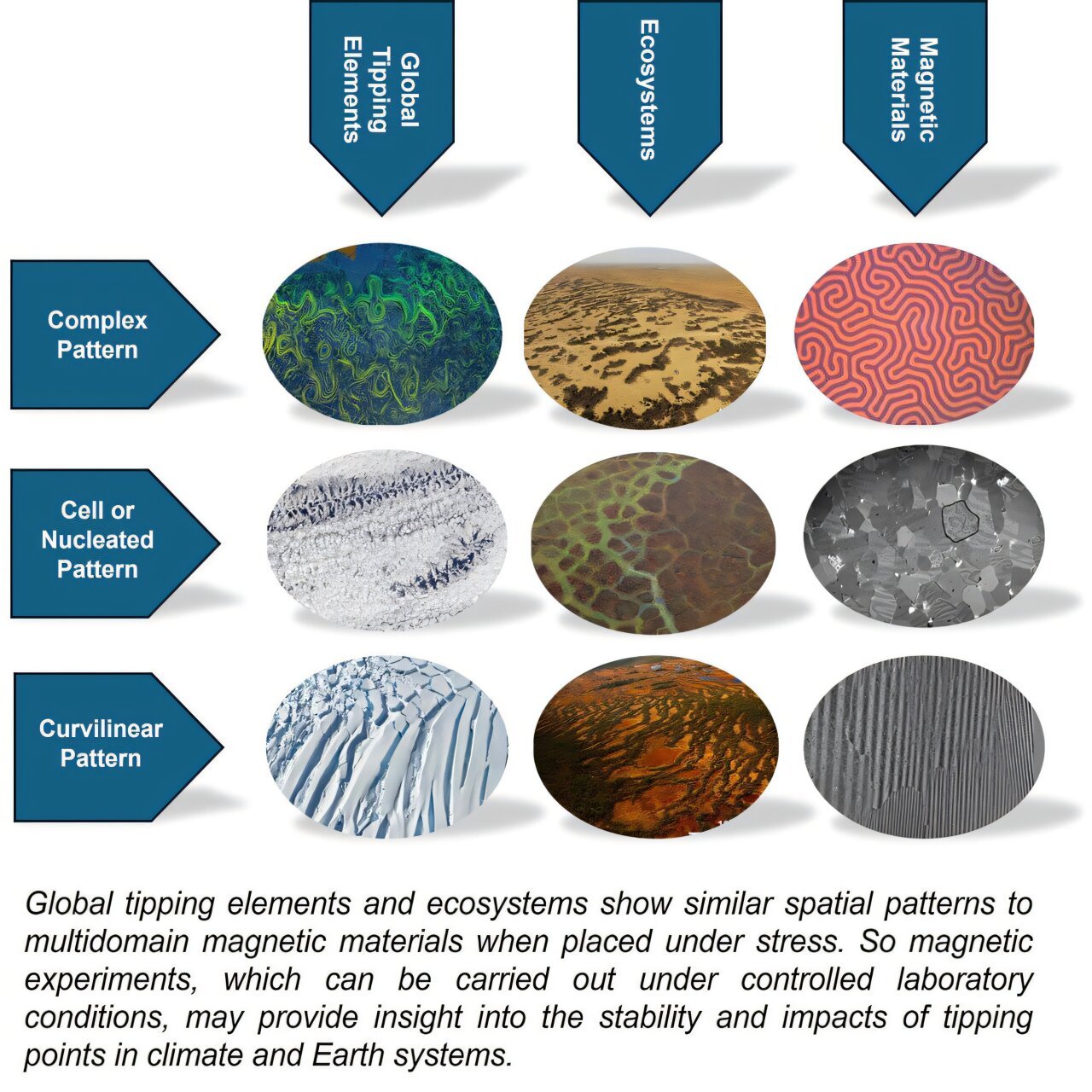 Patronen van ecosysteeminstorting weerspiegelen het gedrag van magnetisch materiaal onder stress