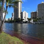 Regenval kan grote tekortkomingen in de stormafvoer van Waikīkī veroorzaken tegen 2050