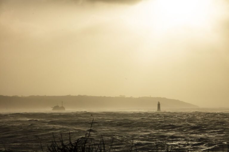Riooloverstort en kustwinden kunnen microplastics de lucht in sturen in steden