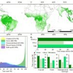 Satellietmapping onthult onderschatting van tropisch bomenverlies met 17%, benadrukt tekortkomingen in wereldwijde monitoring