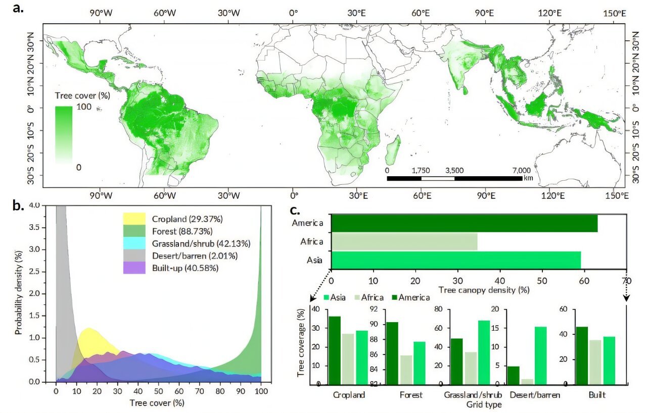 Satellietmapping onthult onderschatting van tropisch bomenverlies met 17%, benadrukt tekortkomingen in wereldwijde monitoring