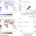 Stijgende Hittegolven in Onderwatermeren Bedreigen Aquatisch Leven