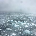 Suikers uit de Zoute Oceaan Verantwoordelijk voor Grootdeel van IJsdeeltjes op het Zuidelijk Halfrond