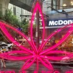 Thailand Draait Om in Cannabiswetgeving: Bedrijven Strijden om te Overleven
