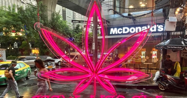 Thailand Draait Om in Cannabiswetgeving: Bedrijven Strijden om te Overleven
