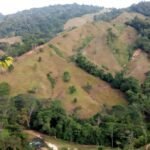 Tropisch Bos in de Colombiaanse Andes: Rijke Bodems vol Koolstof van Oudere Branden