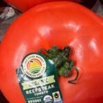 Trump legt 17 procent invoerbelasting op tomaten uit Mexico