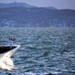 Tsunami Bedreiging Verleden na Grote Aardbevingen aan de Pacifische Kust van Rusland