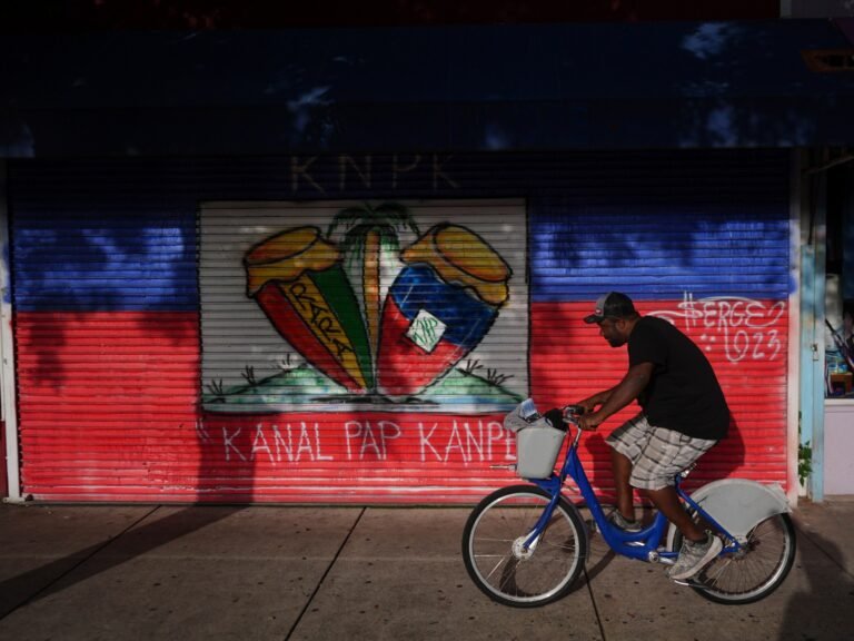 VS zet Haitiaanse permanente bewoners met vermeende bendeverbindingen uit