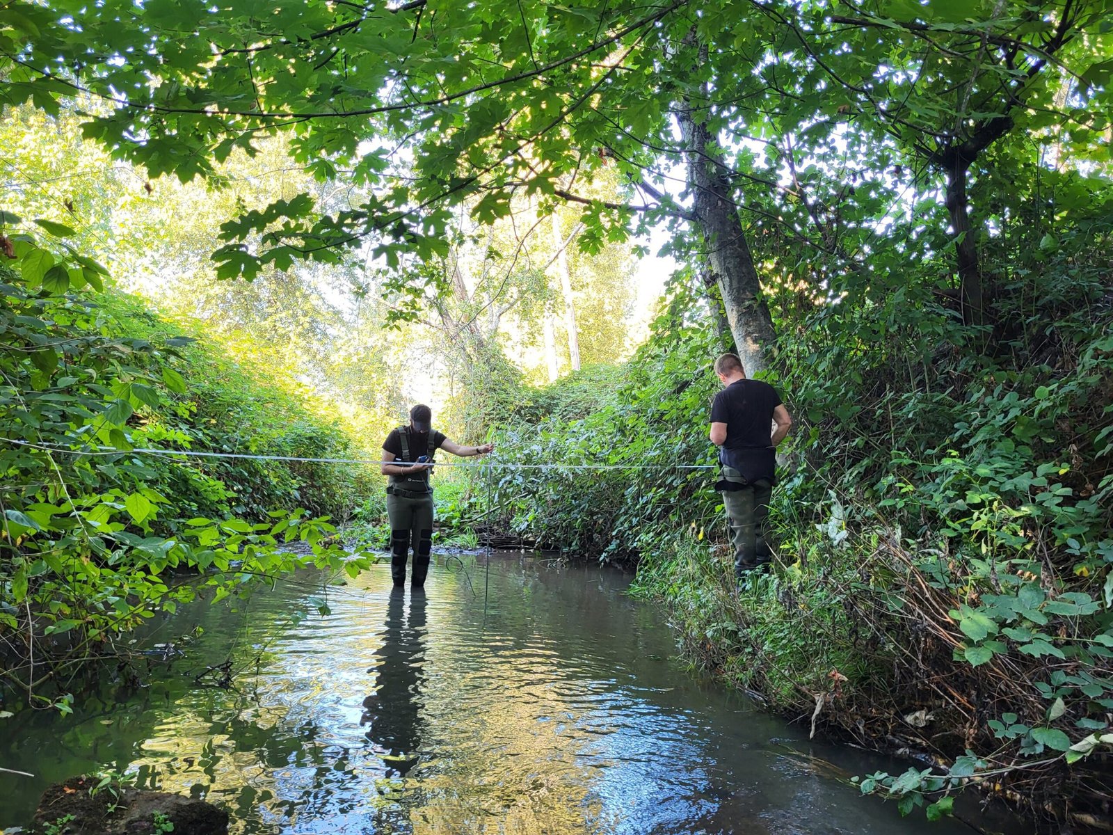 Wereldwijd kader stelt plan voor om de crisis van giftige bandenvervuiling aan te pakken