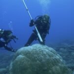 Abrupte veranderingen in Antarctica kunnen 'catastrofale gevolgen voor toekomstige generaties' hebben, waarschuwen experts