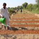 Boeren Strijden Tegen Klimaatproblemen in Pakistan: Van Overstromingen naar Droogte in Één Jaar