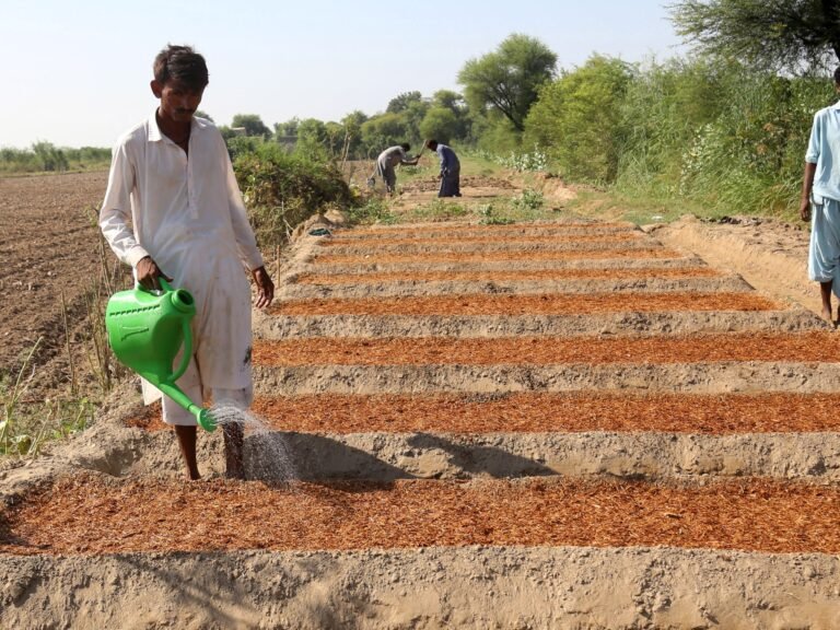 Boeren Strijden Tegen Klimaatproblemen in Pakistan: Van Overstromingen naar Droogte in Één Jaar