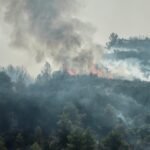 Bosbranden en hittegolven teisteren Zuid-Europa, evacuaties aangekondigd