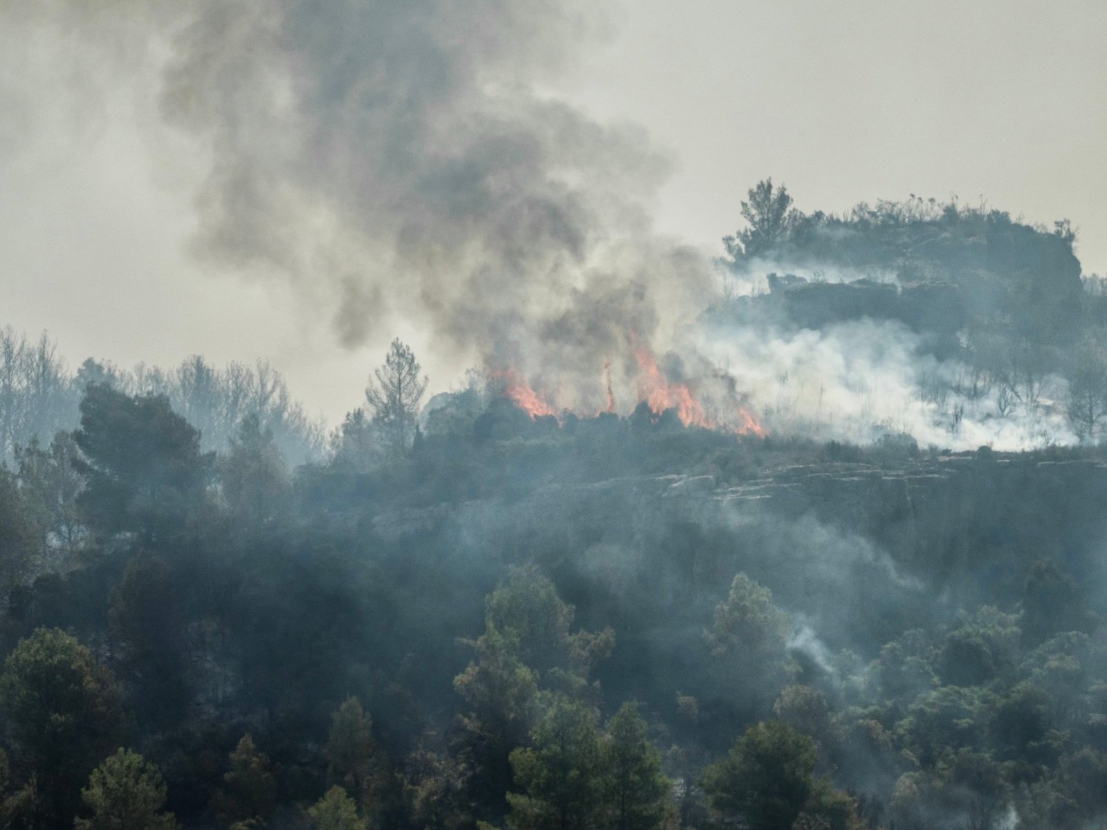 Bosbranden en hittegolven teisteren Zuid-Europa, evacuaties aangekondigd