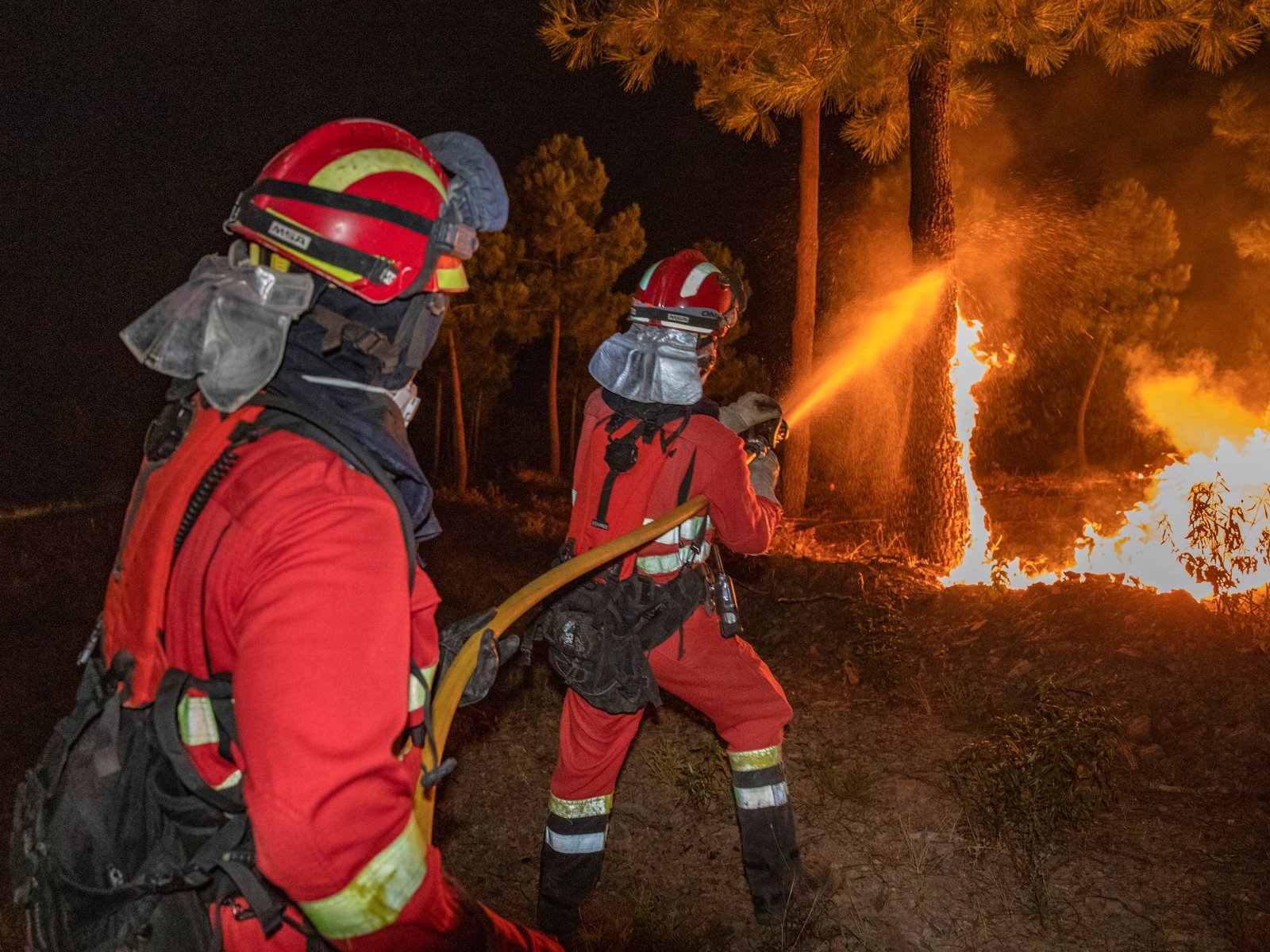 Bosbranden verwoesten delen van Europa door hittegolf
