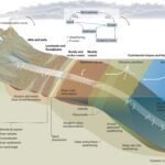 Een Geïntegreerde Visie op de Natuurlijke 'CO₂-Stofzuigers' van de Aarde