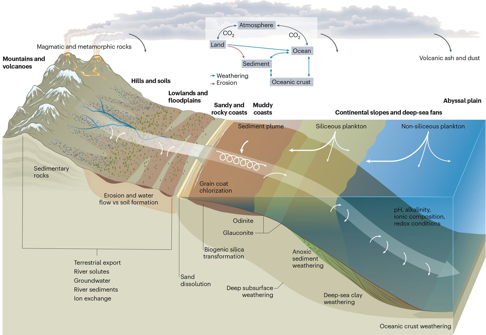 Een Geïntegreerde Visie op de Natuurlijke 'CO₂-Stofzuigers' van de Aarde