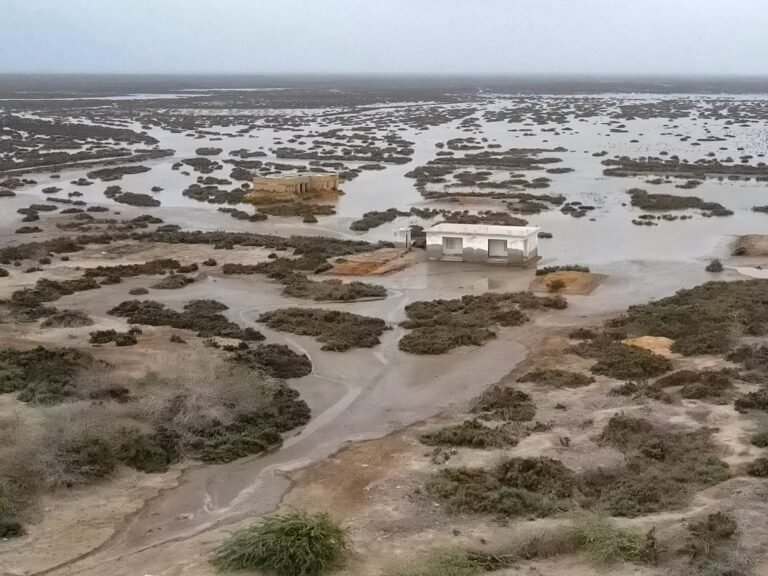 Foto's: De Langzame Dood van de Indusdelta in Pakistan
