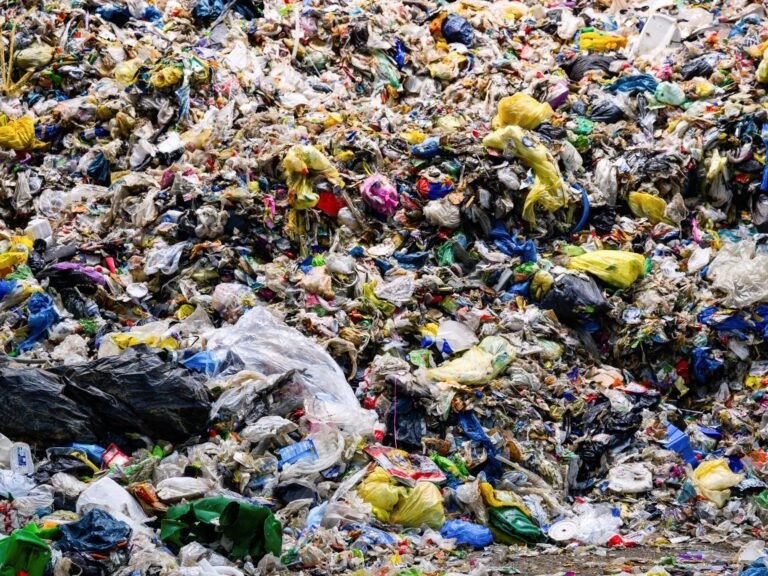 Geneve gesprekken over wereldwijde plasticvervuilingsverdrag mislukken zonder overeenkomst