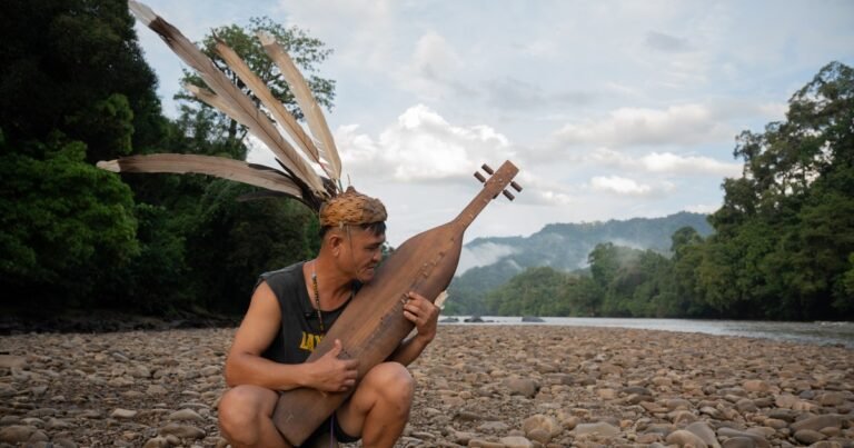 Het Beschermen van een Bedreigd Regenwoud in Sarawak, Maleisisch Borneo