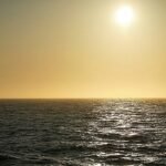 Hoe een 'perfecte storm' een mariene hittegolf veroorzaakte en de zalmluizen in een hogere versnelling bracht