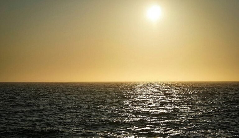Hoe een 'perfecte storm' een mariene hittegolf veroorzaakte en de zalmluizen in een hogere versnelling bracht