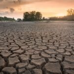 Hoe organische stof water in de bodem vasthoudt, zelfs in de droogste omstandigheden