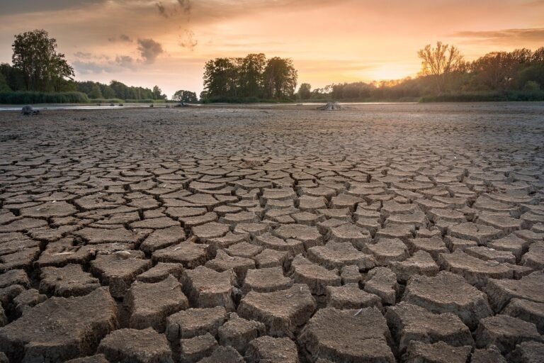 Hoe organische stof water in de bodem vasthoudt, zelfs in de droogste omstandigheden