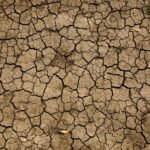 Klimaatmodellen tonen aan hoe menselijke activiteit het Zuidwesten in permanente droogte kan verankeren