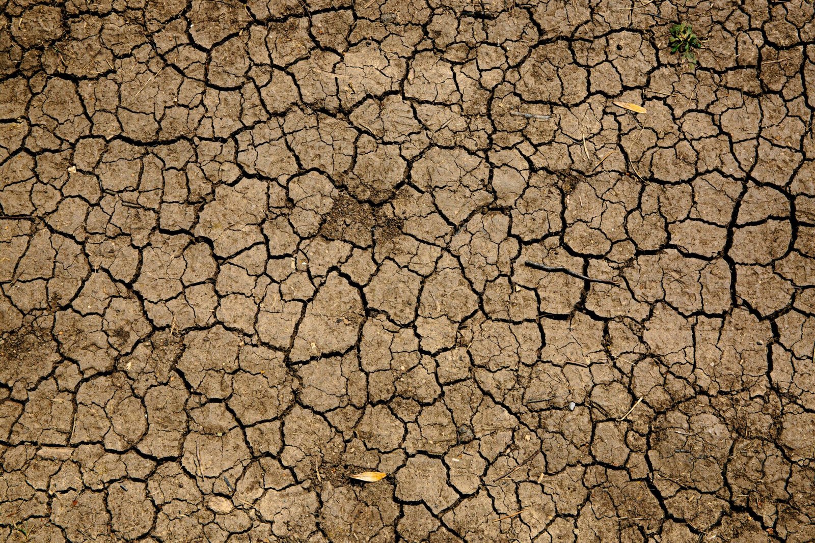 Klimaatmodellen tonen aan hoe menselijke activiteit het Zuidwesten in permanente droogte kan verankeren