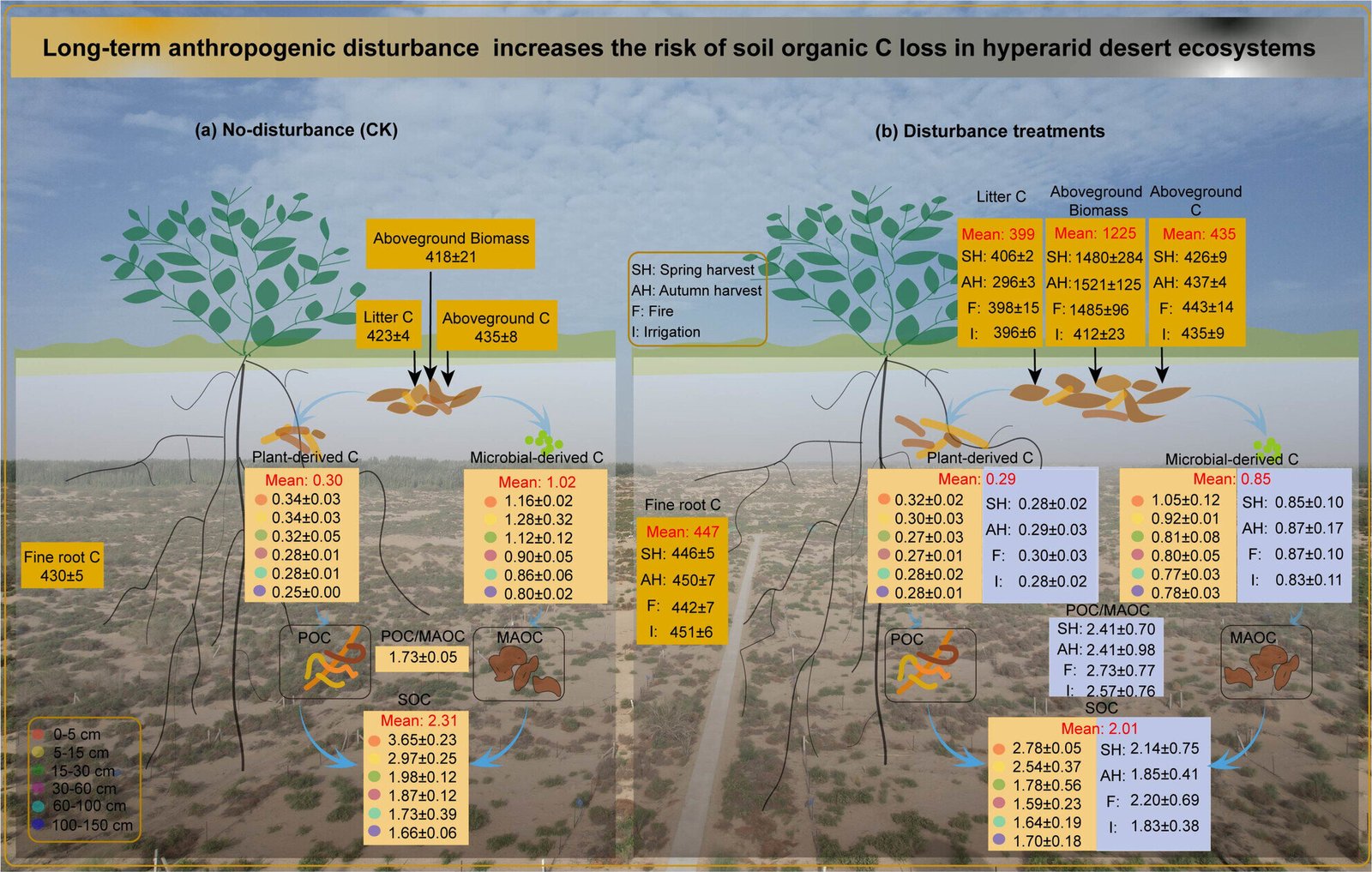 Menselijke verstoringen veroorzaken aanzienlijke koolstofverliezen in hyper-aride woestijnen, blijkt uit onderzoek