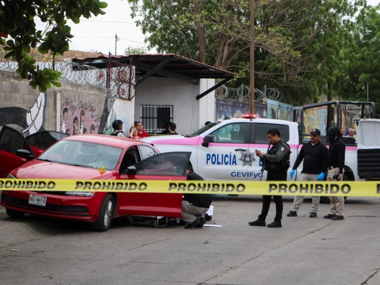 Mexico zet 26 vermeende kartelleden uit in recente overeenkomst met Trump