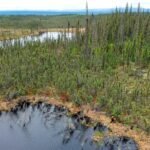 Nieuwe methode voorspelt methaanemissies uit boreale-Arctische moerassen beter