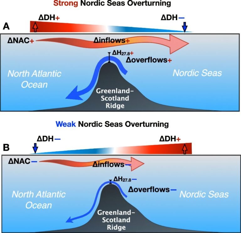 Oceanische anomalieën die naar het noorden reizen zijn cruciaal voor de Atlantische Meridionale Omkering Circulatie