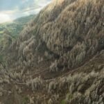 Onderzoek in de Columbia River Gorge toont aan dat het risico op aardverschuivingen niet altijd toeneemt na een bosbrand