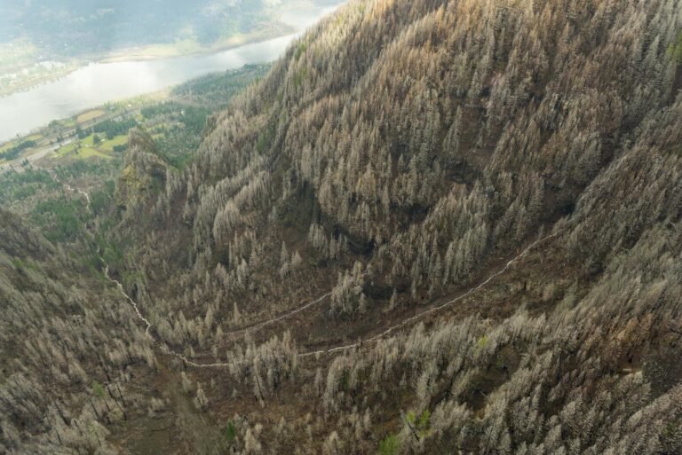 Onderzoek in de Columbia River Gorge toont aan dat het risico op aardverschuivingen niet altijd toeneemt na een bosbrand