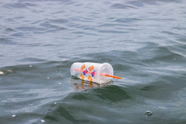 Plasticvervuiling vormt ernstige en groeiende bedreiging voor de gezondheid