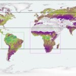 Satellietgegevens onthullen 15-jarige trends in wereldwijde koolstofopslag in bossen