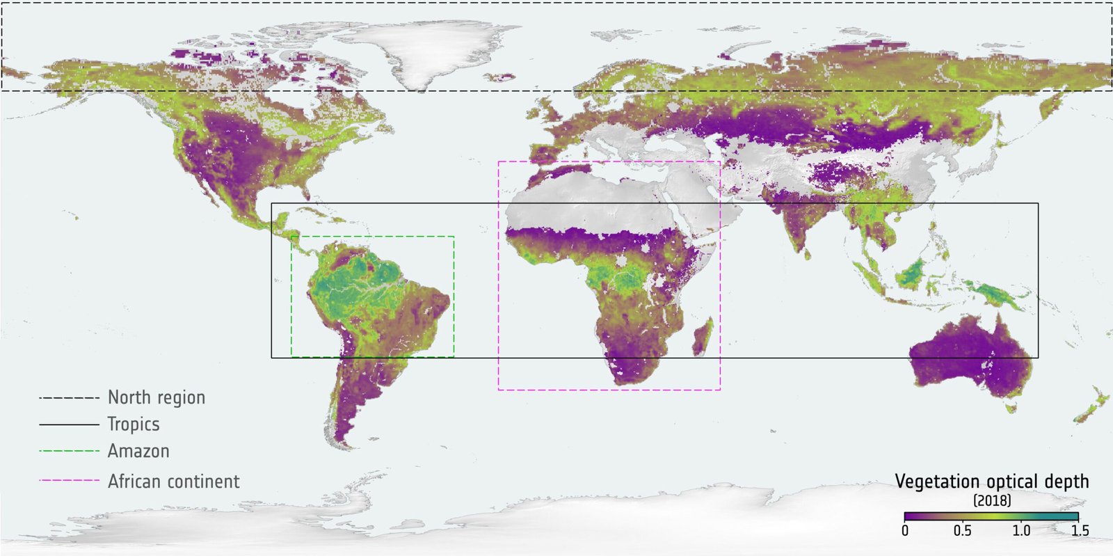 Satellietgegevens onthullen 15-jarige trends in wereldwijde koolstofopslag in bossen