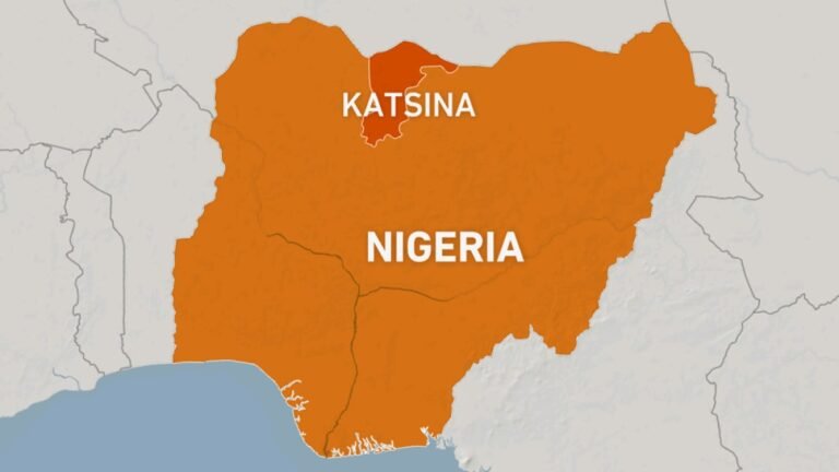 Schutters doden minstens 27 bij moskeeaanslag in Noord-Nigeria, meldt de overheid
