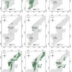 Sneeuwalgen Versnellen Het Smelten Van De Antarctische IJsplanken, Onderzoek Toont Aan