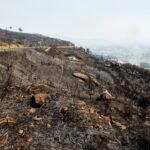 Spanje Rouwt om Derde Wildfire Dode terwijl Duizenden in Europa Geplaatst Blijven