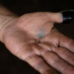 Toename van 53% in gevallen van vleesetende schroefwormen in Mexico