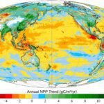Wereldwijde studie onthult toename van fotosynthese door land, gecompenseerd door oceanen