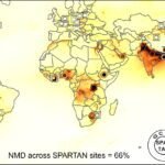 Zwarte koolstofemissies in het 'globale zuiden' ondergewaardeerd