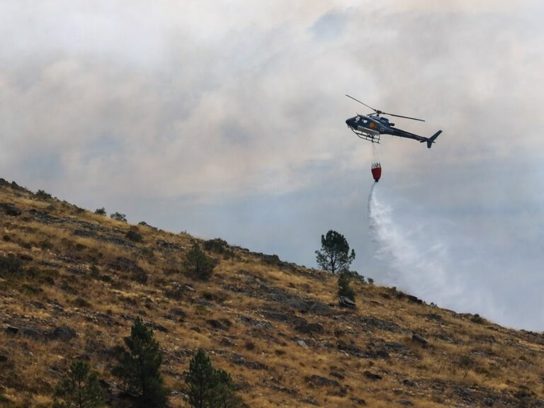 ‘Vlammen die de heuvels verzwolgen’: Portugal en Spanje herstellen van bosbranden