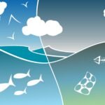 Aardensysteemengineering: Nieuw concept onthult de rol van levende organismen in wereldwijde ecosysteemvorming